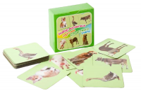 Магнитные карточки для устного счета "Животные"